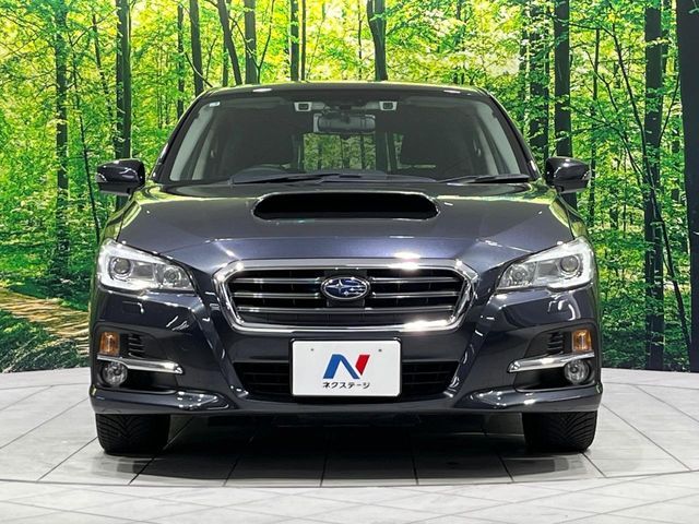 LEVORG