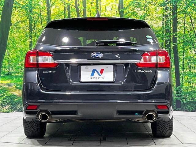 LEVORG