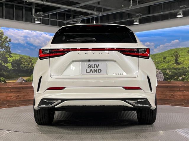 LEXUS NX350h