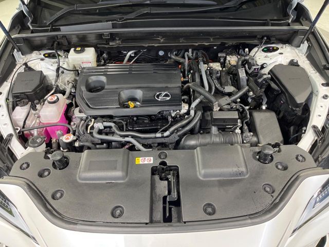 LEXUS NX350h