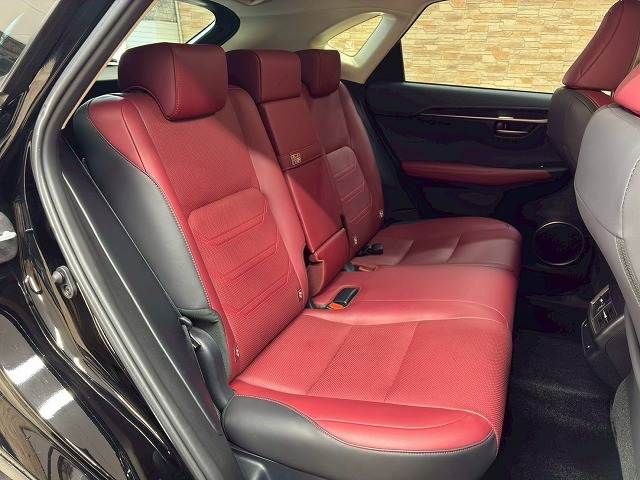 LEXUS NX300h