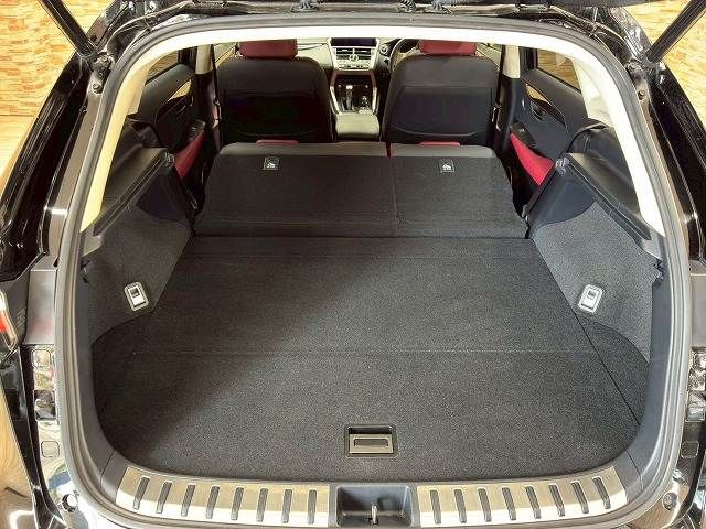 LEXUS NX300h
