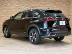 LEXUS NX300h
