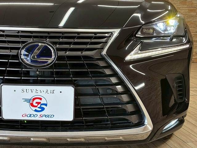 LEXUS NX300h