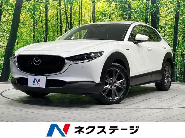 CX-30