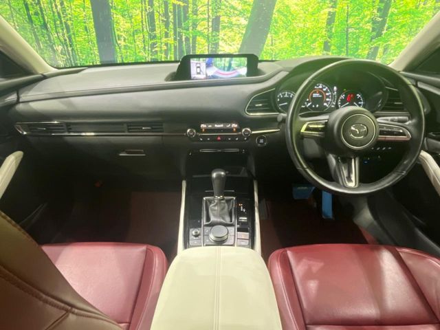 CX-30