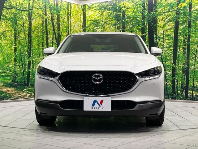 CX-30