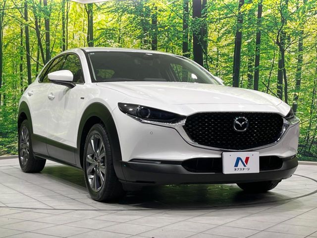 CX-30