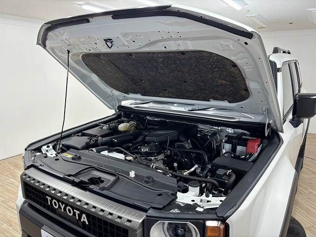 LANDCRUISER 250