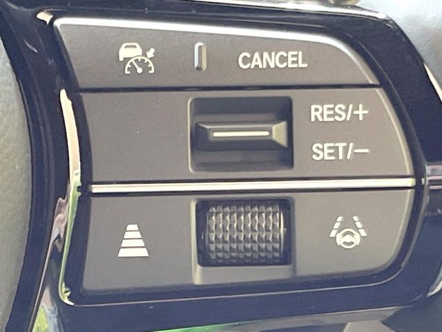 STEPWAGON e:HEV SPADA