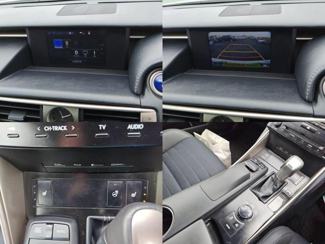 LEXUS IS300h