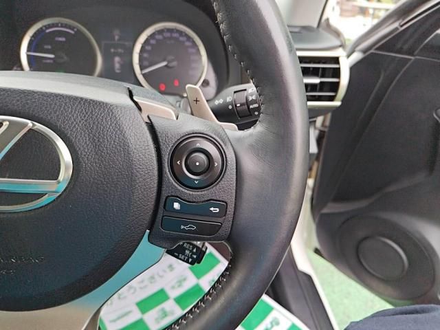 LEXUS IS300h