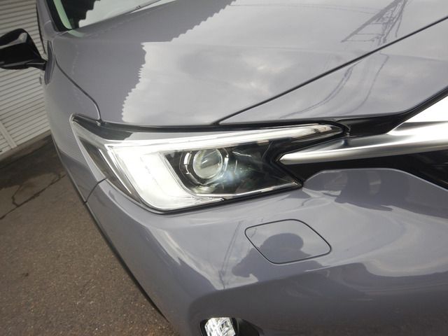 LEVORG LAYBACK