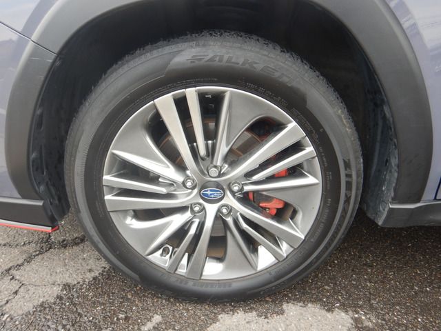 LEVORG LAYBACK