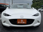 ROADSTER RF