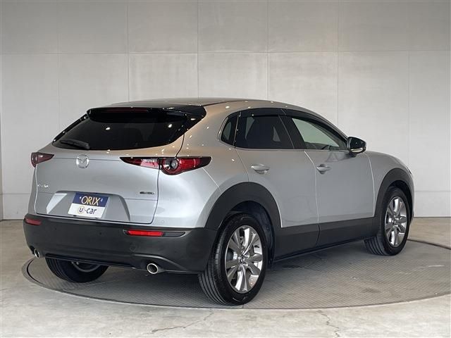 CX-30
