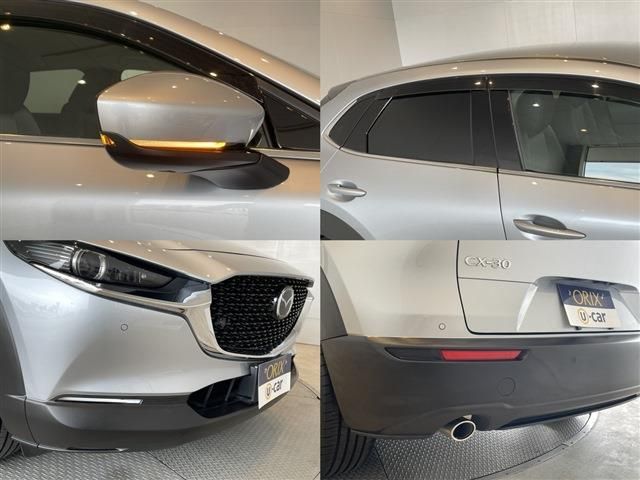 CX-30