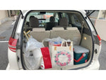 ESTIMA  4WD