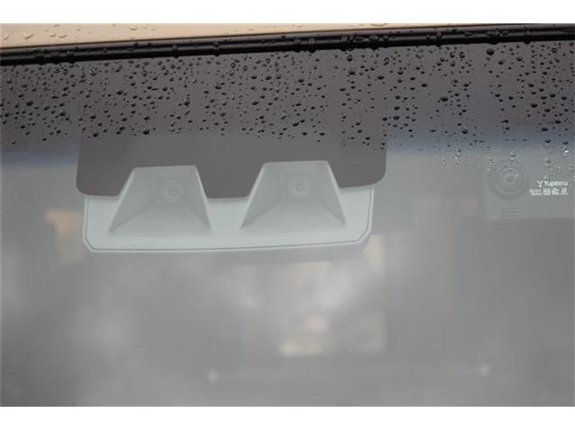 SAMBAR van 4WD
