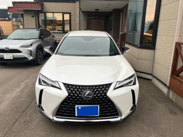 LEXUS UX250h AWD