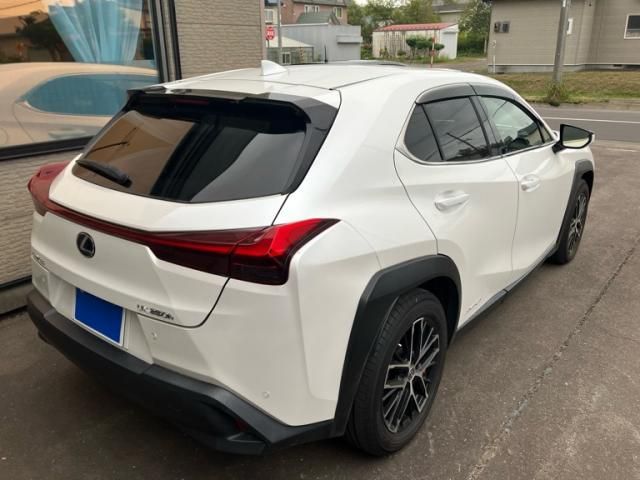 LEXUS UX250h AWD