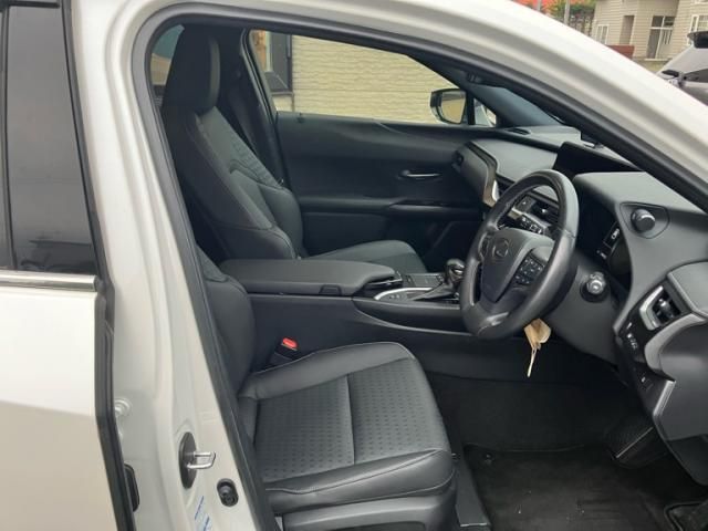 LEXUS UX250h AWD