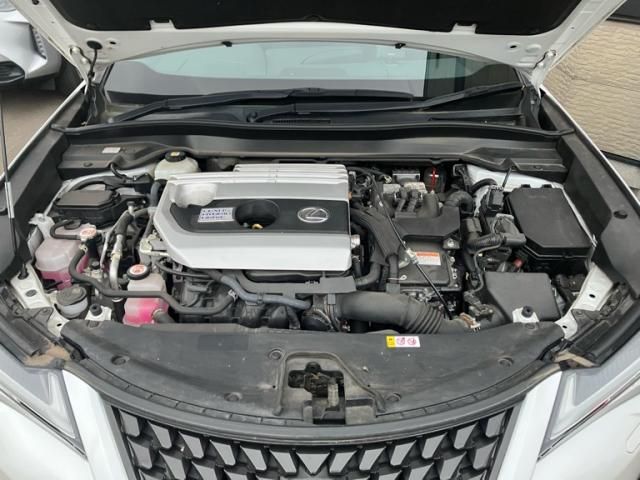 LEXUS UX250h AWD