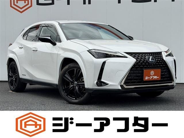 LEXUS UX250h