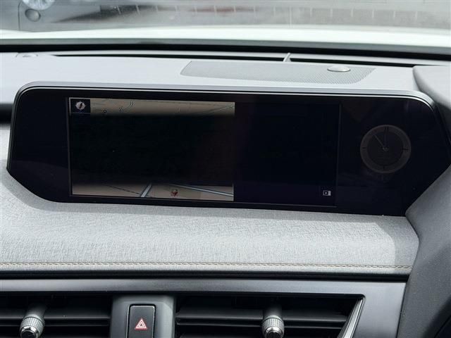 LEXUS UX250h