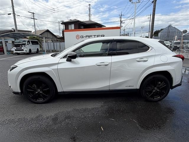 LEXUS UX250h