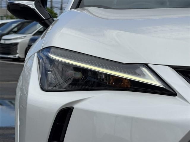 LEXUS UX250h