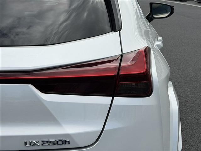 LEXUS UX250h