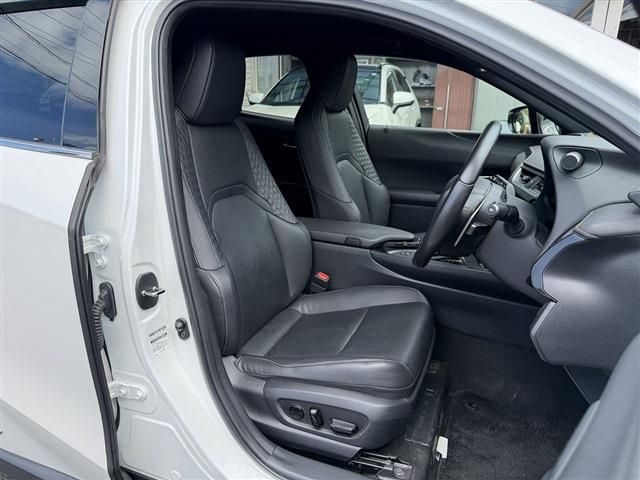 LEXUS UX250h