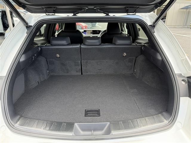 LEXUS UX250h