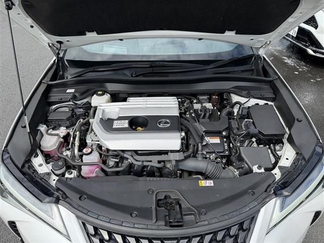 LEXUS UX250h