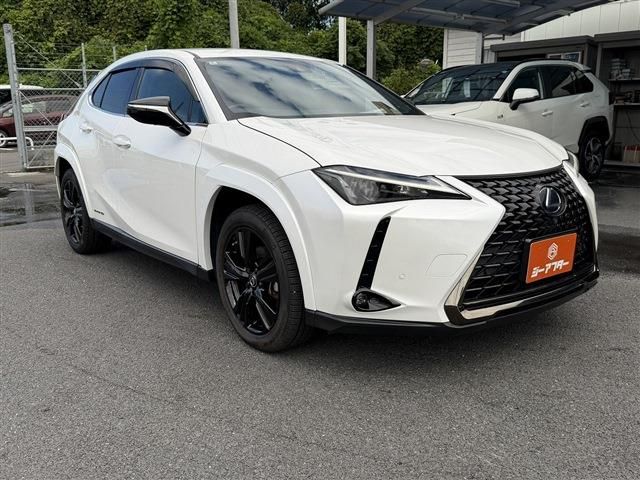 LEXUS UX250h