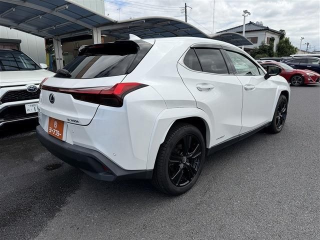LEXUS UX250h