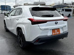 LEXUS UX250h
