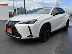 LEXUS UX250h