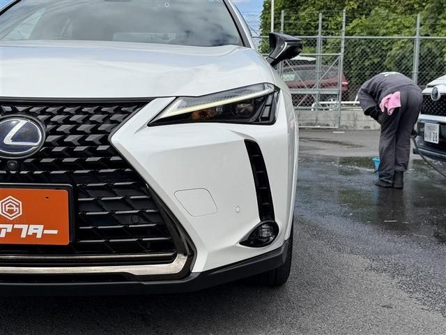 LEXUS UX250h