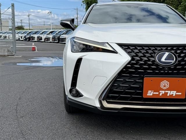 LEXUS UX250h