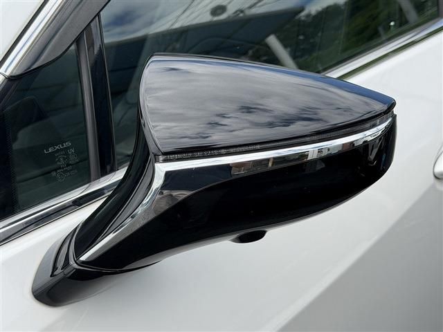 LEXUS UX250h