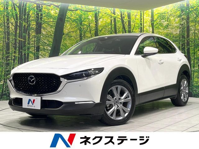 CX-30