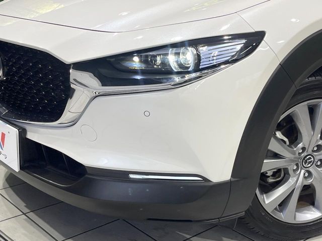 CX-30