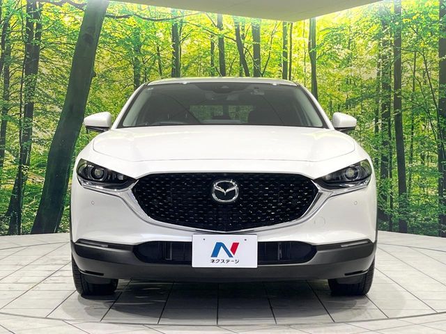 CX-30