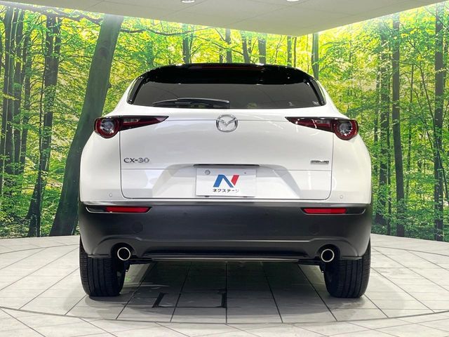 CX-30