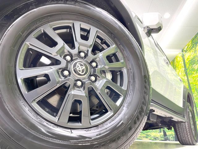 LANDCRUISER 250