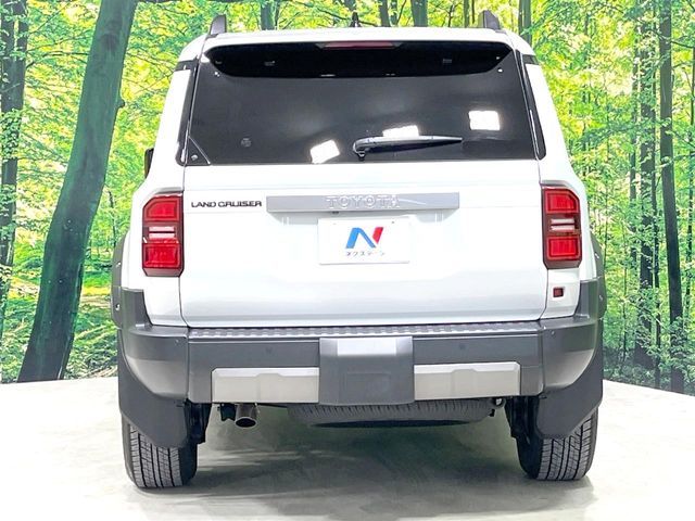 LANDCRUISER 250