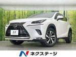 LEXUS NX300