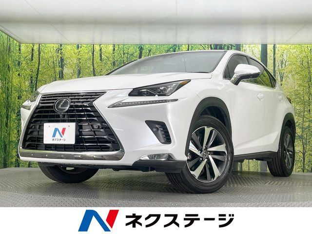 LEXUS NX300